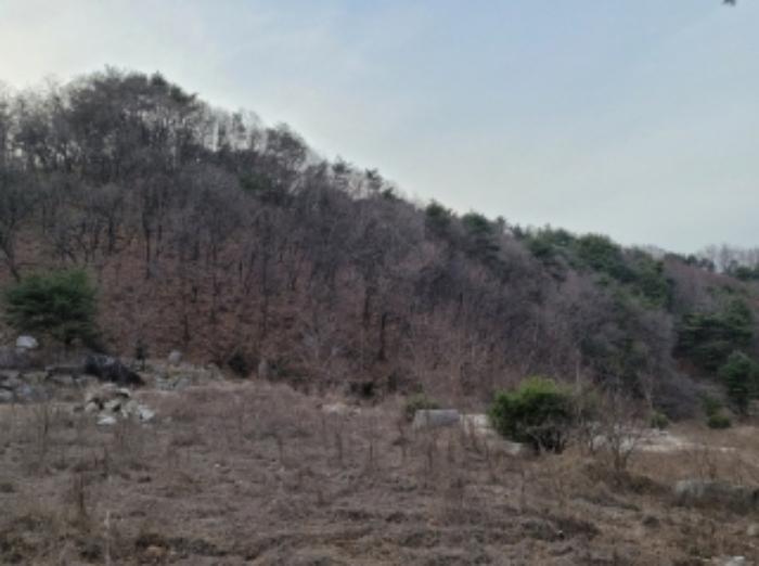 경상북도 영주시 봉현면 한천리 463-8 임야 경매 사진 34