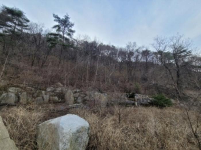 경상북도 영주시 봉현면 한천리 463-8 임야 경매 사진 36