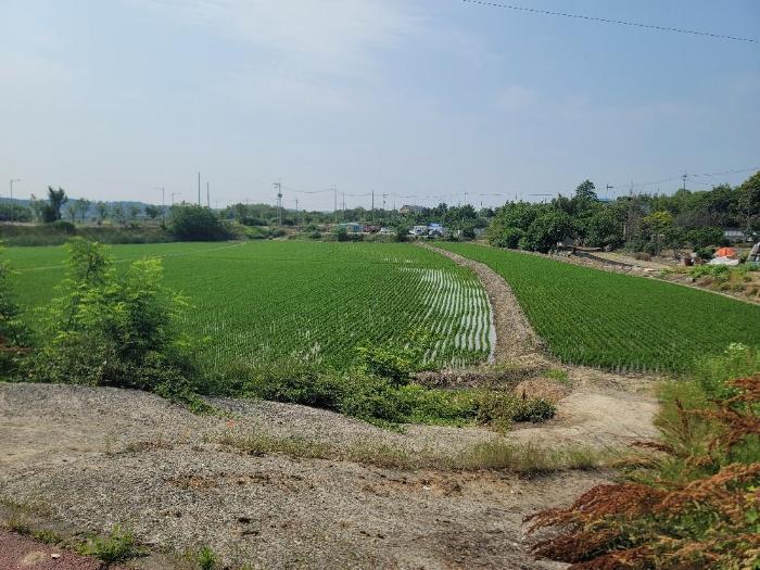 전북특별자치도 군산시 산북동 431-7 답 경매 사진 2