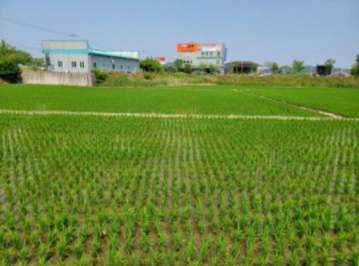 전북특별자치도 군산시 산북동 431-7 답 경매 사진 5