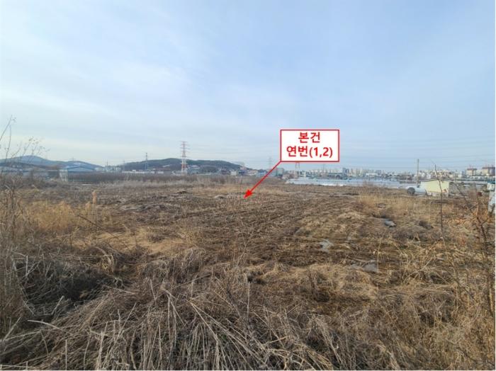 경기도 파주시 상지석동 146-6 답 경매 사진 5