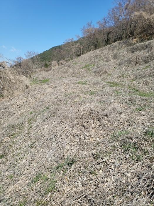 경상남도 남해군 남면 선구리 산105-1 임야 경매 사진 2