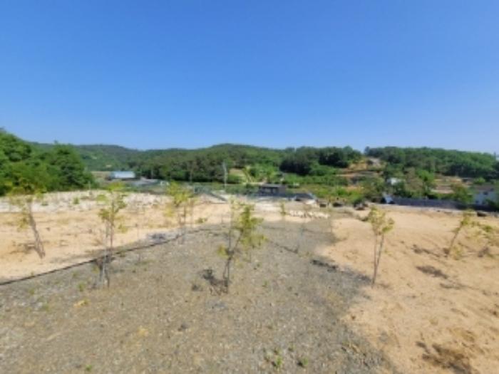 경상남도 진주시 하대동 704-1 전 경매 사진 21