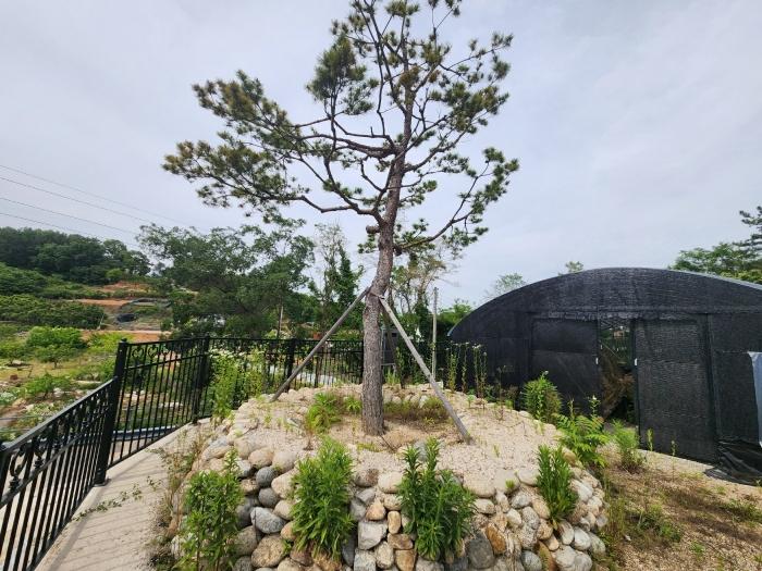 경상남도 진주시 하대동 704-1 전 경매 사진 9