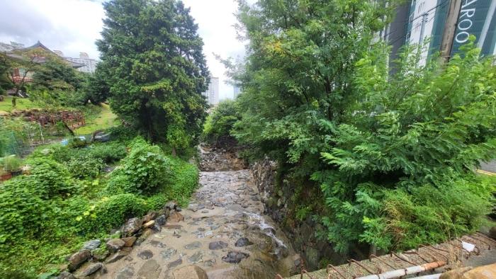 경상남도 거제시 아주동 1201-44 임야 경매 사진 6
