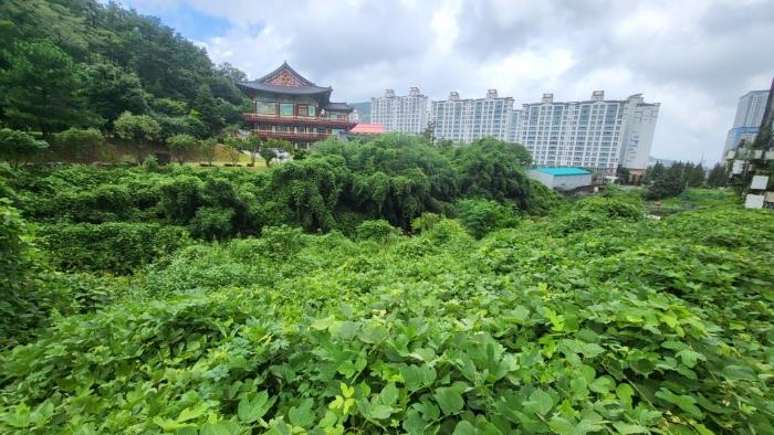 경상남도 거제시 아주동 1201-44 임야 경매 사진 7