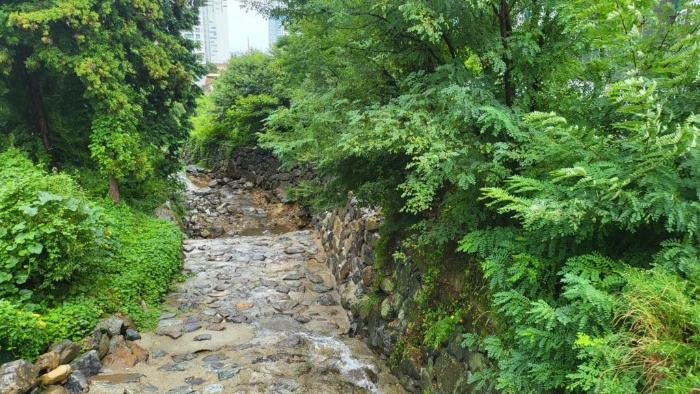 경상남도 거제시 아주동 1201-44 임야 경매 사진 8