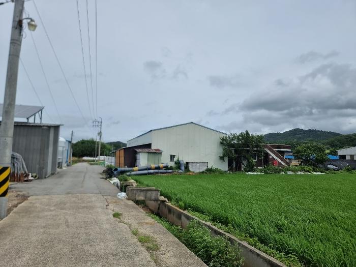 전라남도 함평군 손불면 학산리 1018-9 임야 경매 사진 5