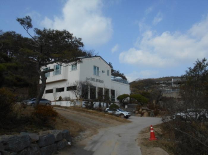 세종특별자치시 장군면 대교리 228-101 근린시설 경매 사진 18