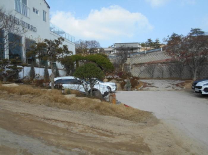 세종특별자치시 장군면 대교리 228-101 근린시설 경매 사진 19
