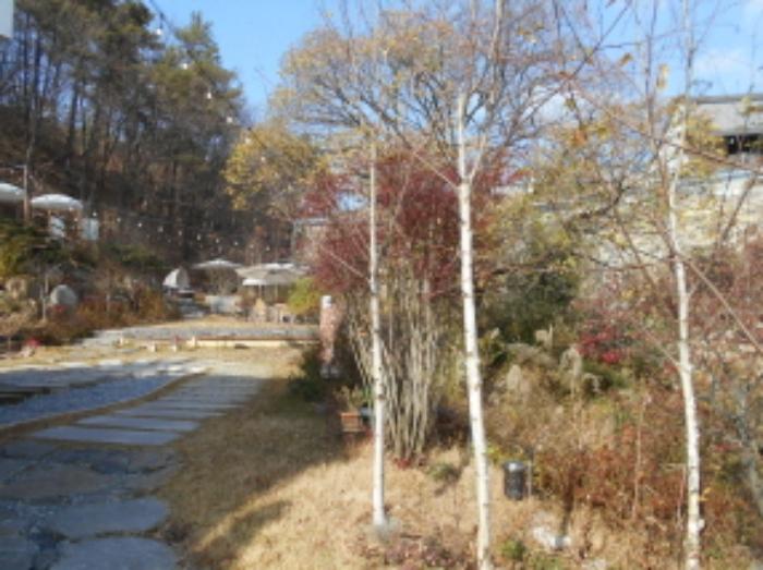 세종특별자치시 장군면 대교리 228-101 근린시설 경매 사진 20