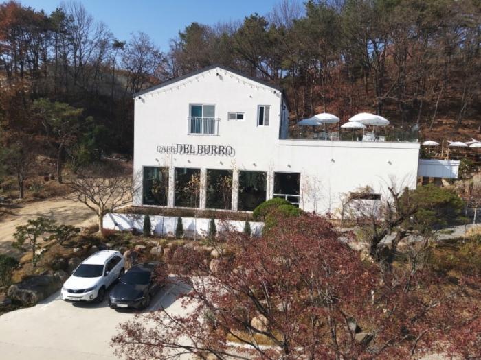 세종특별자치시 장군면 대교리 228-101 근린시설 경매 사진 4