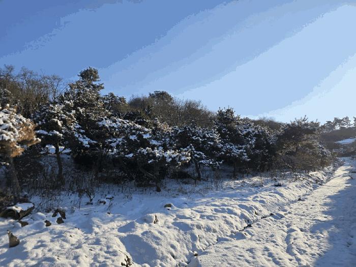 전북특별자치도 군산시 옥구읍 선제리 639-4 주택 경매 사진 2