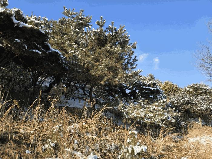 전북특별자치도 군산시 옥구읍 선제리 639-4 주택 경매 사진 32