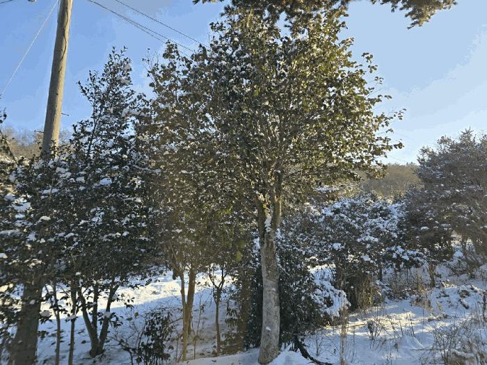 전북특별자치도 군산시 옥구읍 선제리 639-4 주택 경매 사진 33