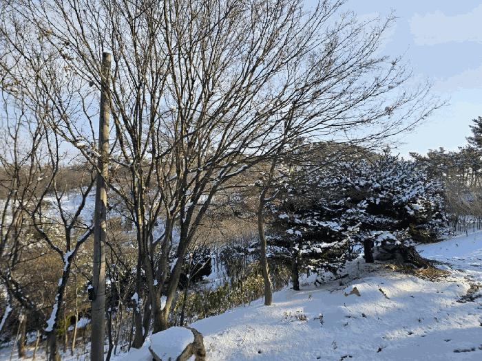 전북특별자치도 군산시 옥구읍 선제리 639-4 주택 경매 사진 4