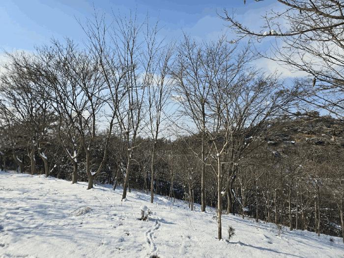 전북특별자치도 군산시 옥구읍 선제리 639-4 주택 경매 사진 41