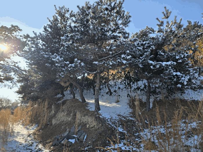 전북특별자치도 군산시 옥구읍 선제리 639-4 주택 경매 사진 5