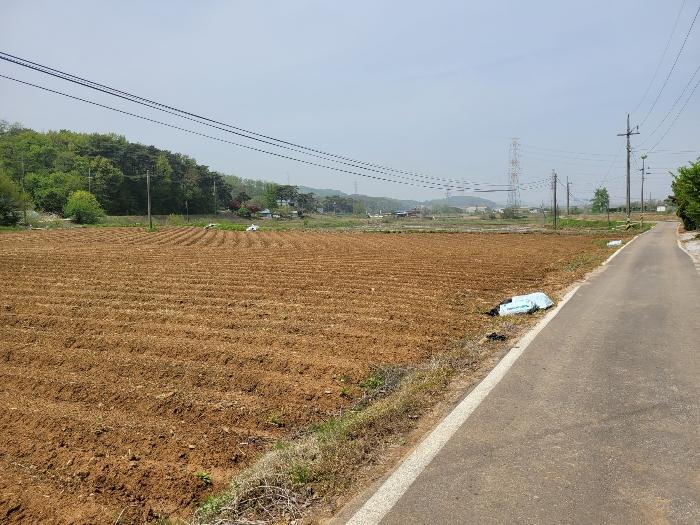 충청남도 당진시 송악읍 월곡리 93 답 경매 사진 8