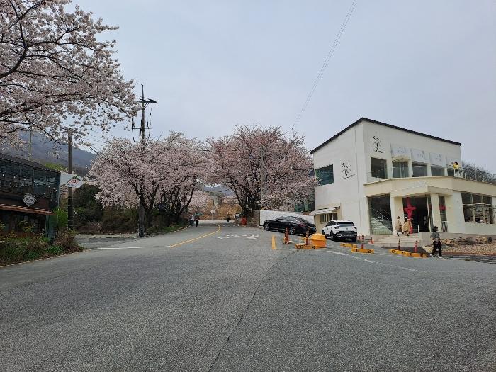 경상남도 창원시 성산구 창원대로1137번길 18, 106동 3층 302호 (성주동,루이젠하우스)구) 경상남도 창원시 성산구 성주동 143 다세대(빌라) 경매 사진 3