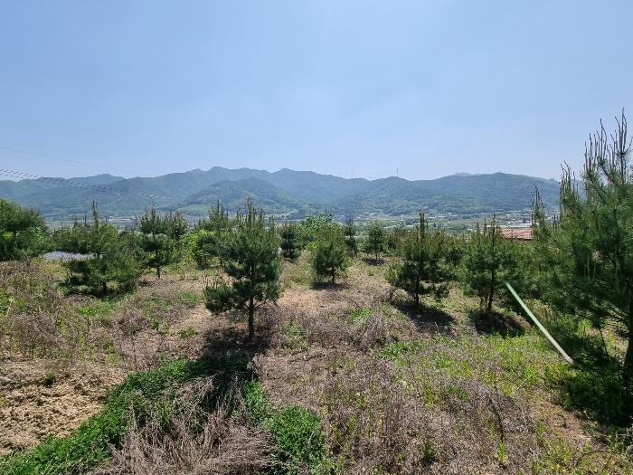충청북도 충주시 임야