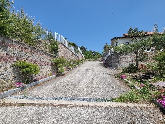 충청북도 충주시 앙성면 사미리 산20-2 임야 경매 사진 12