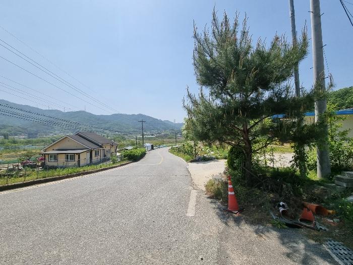 충청북도 충주시 앙성면 사미리 산20-2 임야 경매 사진 16