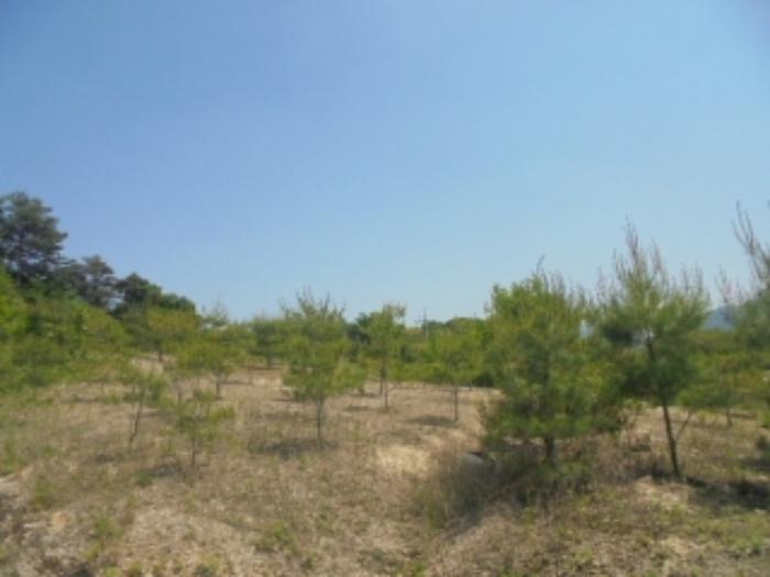 충청북도 충주시 앙성면 사미리 산20-2 임야 경매 사진 17