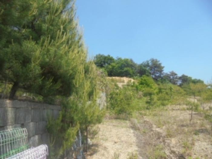 충청북도 충주시 앙성면 사미리 산20-2 임야 경매 사진 18