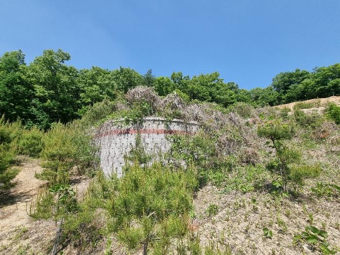 충청북도 충주시 앙성면 사미리 산20-2 임야 경매 사진 6