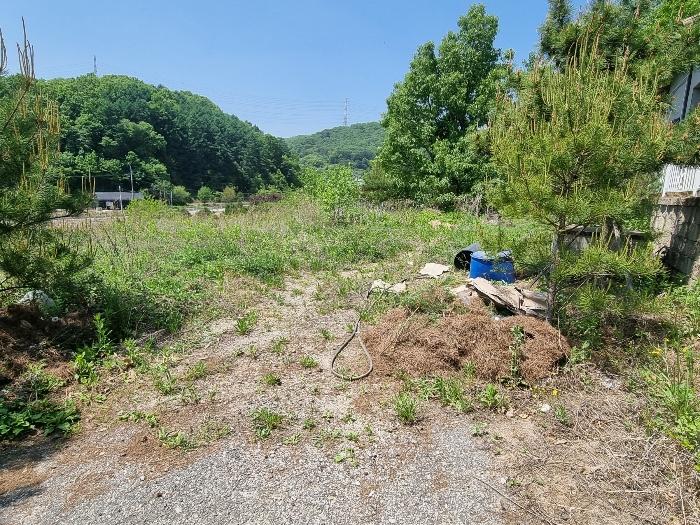 충청북도 충주시 앙성면 사미리 산20-2 임야 경매 사진 7