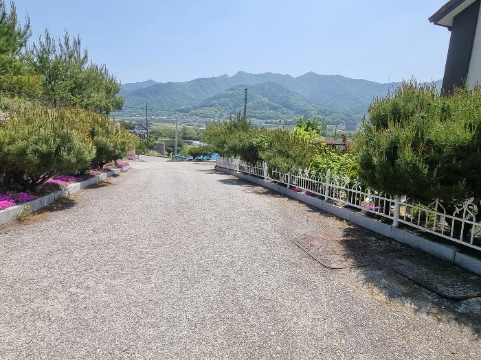 충청북도 충주시 앙성면 사미리 산20-2 임야 경매 사진 8