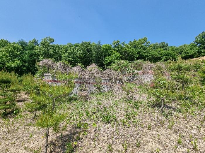 충청북도 충주시 앙성면 사미리 산20-2 임야 경매 사진 9