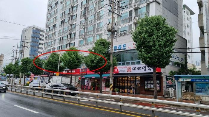 경상남도 창원시 마산합포구 중앙남3길 10, 2층204호 (중앙동2가,남명세비앙)구) 경상남도 창원시 마산합포구 중앙동2가 3-38 근린상가 경매 사진 5