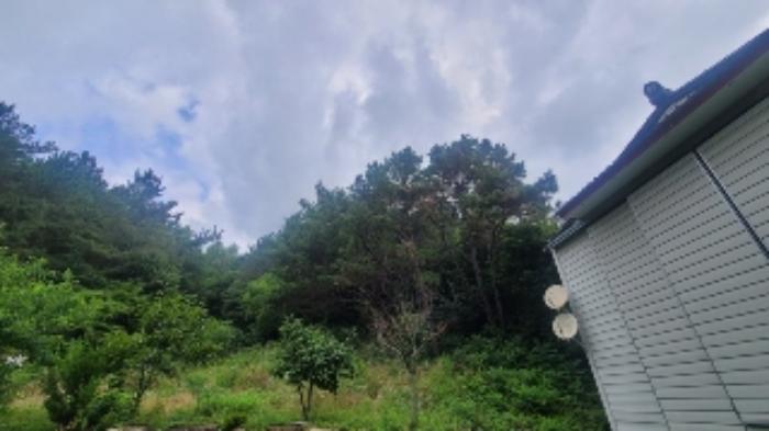 경상남도 함안군 법수면 윤내리 297-1 묘지 경매 사진 7