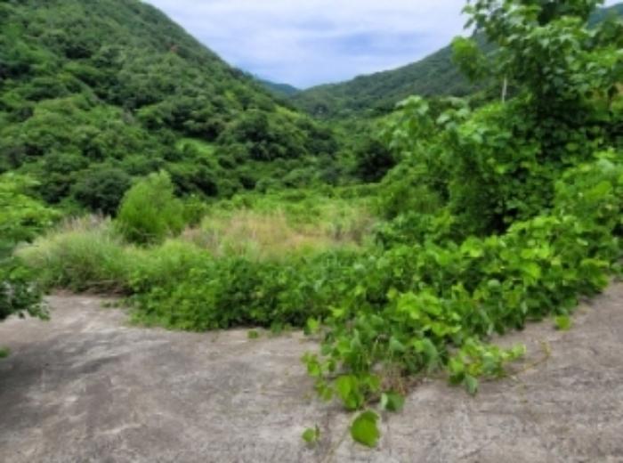 경상남도 하동군 화개면 부춘리 142-4 전 경매 사진 5