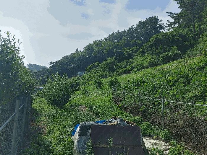 경상남도 통영시 평림동 615-1 전 경매 사진 2