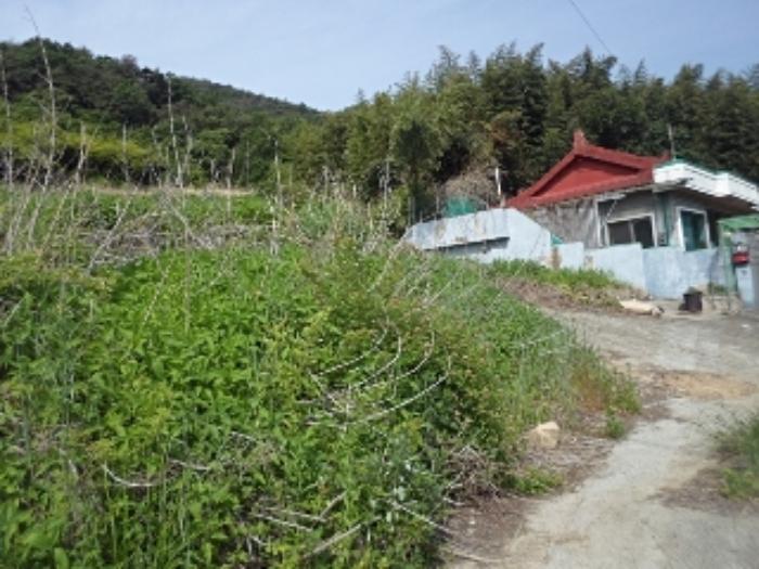경상남도 밀양시 삼랑진읍 미전리 249-6 주택 경매 사진 14
