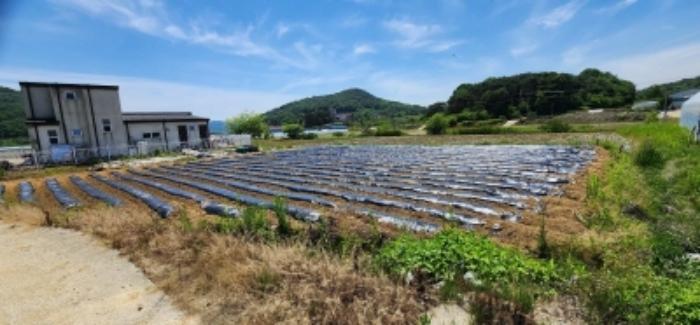 경상북도 안동시 풍천면 도양리 768-2 답 경매 사진 13