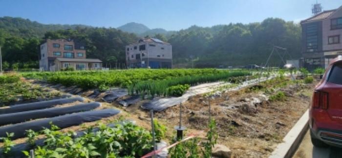 경상북도 안동시 풍천면 도양리 768-2 답 경매 사진 21