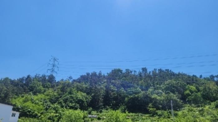 경상남도 함안군 가야읍 광정리 662 임야 경매 사진 3