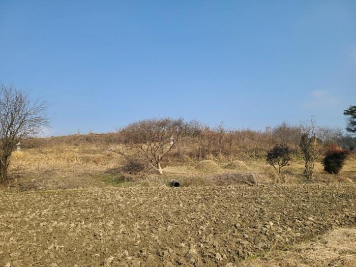 경상남도 함안군 칠서면 계내리 427-3 전 경매 사진 3