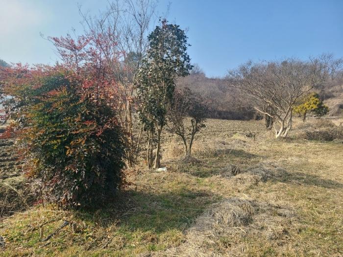 경상남도 함안군 칠서면 계내리 427-3 전 경매 사진 4