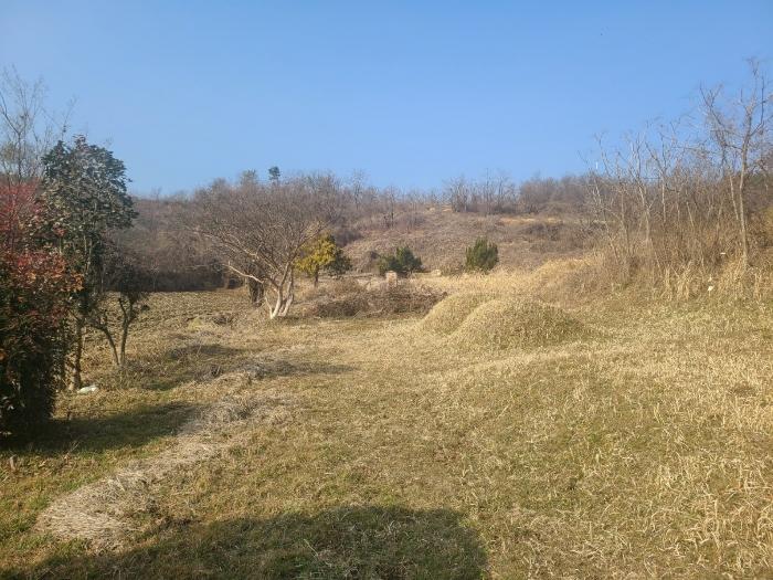 경상남도 함안군 전