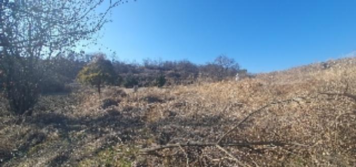 경상남도 함안군 칠서면 계내리 427-10 전 경매 사진 12