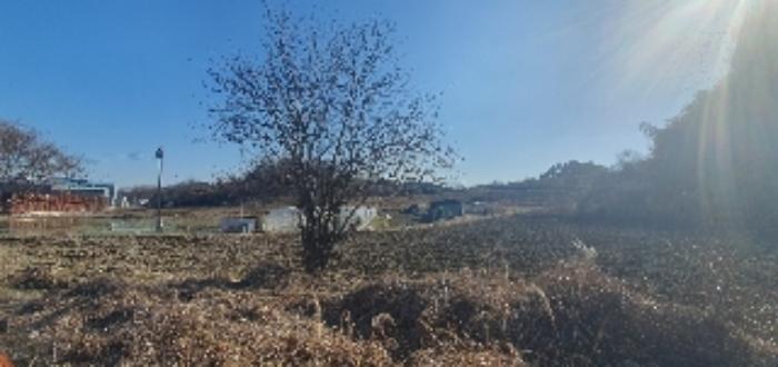 경상남도 함안군 칠서면 계내리 427-10 전 경매 사진 7