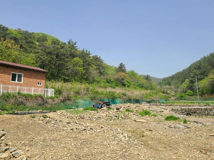 경상남도 창원시 마산합포구 진전면 시락리 35 답 경매 사진 2