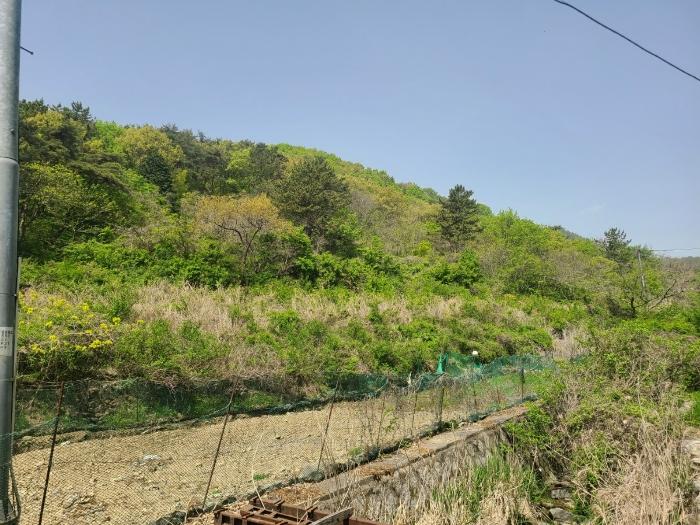 경상남도 창원시 마산합포구 진전면 시락리 35 답 경매 사진 3