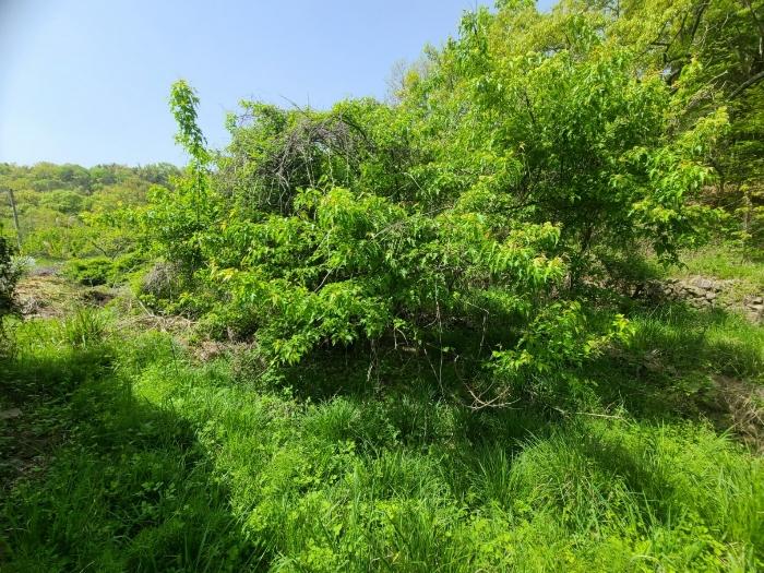 경상남도 창원시 마산합포구 진전면 시락리 35 답 경매 사진 4