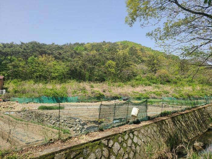 경상남도 창원시 마산합포구 진전면 시락리 35 답 경매 사진 5
